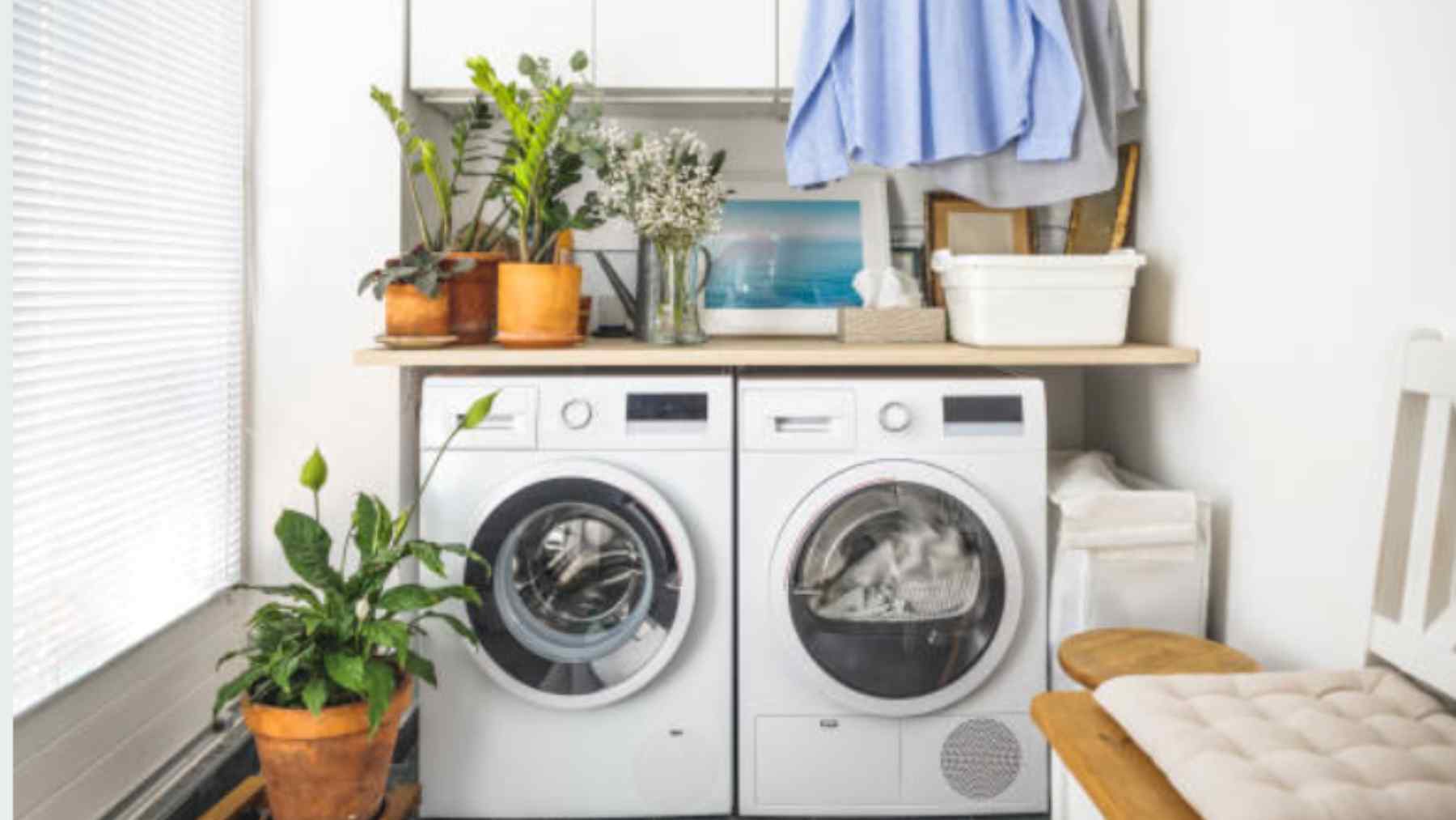 Esto es lo que no debes introducir en la lavadora y lo haces a diario