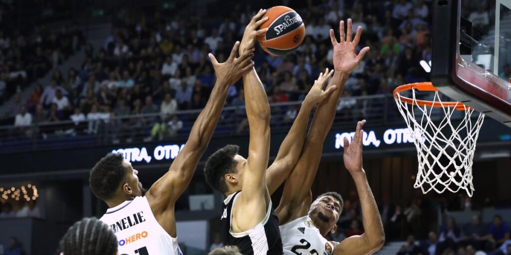 Horario y dónde ver por TV el Virtus de Bolonia - Real Madrid de la Euroliga