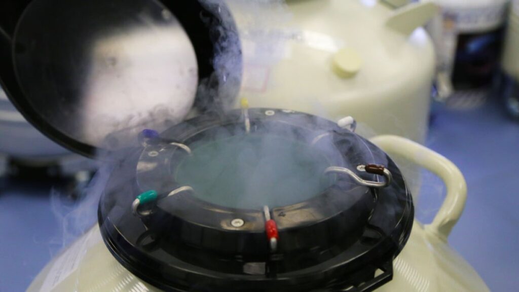 Juez decide sobre propiedad de embriones humanos congelados basado en una ley de la esclavitud