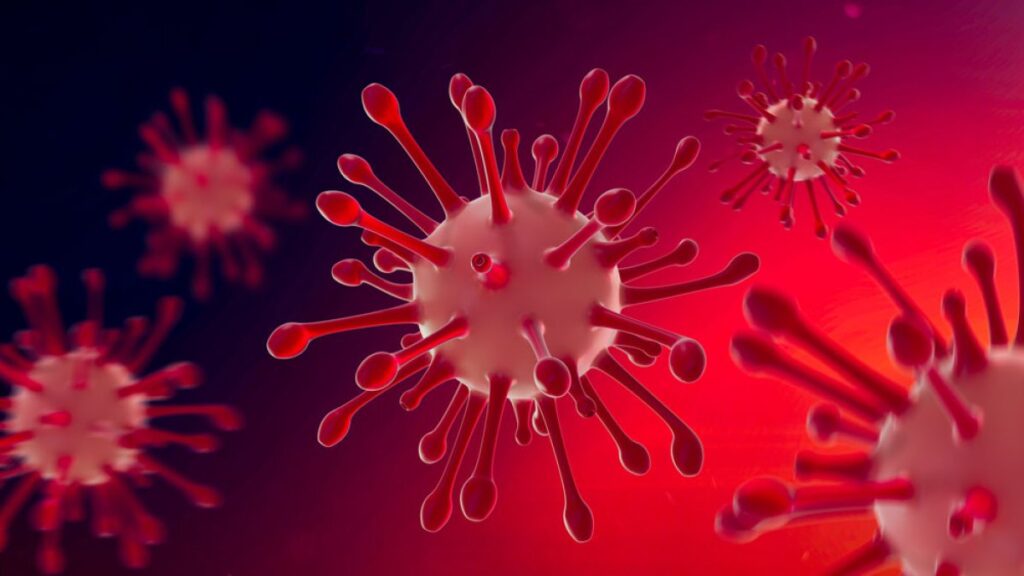 La Cámara Baja aprueba hacer pública la información sobre el origen del COVID-19