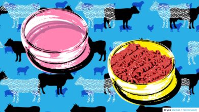 La prohibición de Italia de la carne cultivada podría hacer retroceder a la industria