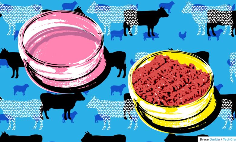 La prohibición de Italia de la carne cultivada podría hacer retroceder a la industria