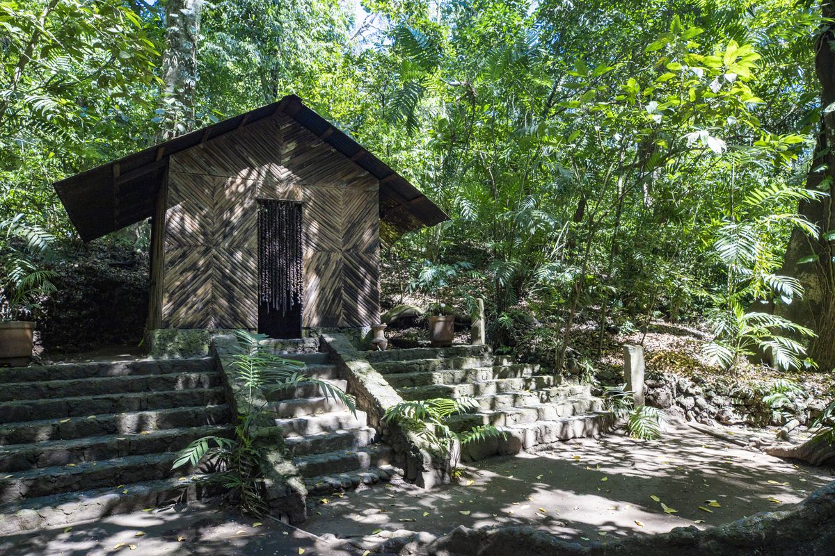 La reserva natural de Nanciyaga lucha contra la deforestación en la región de Los Tuxtlas