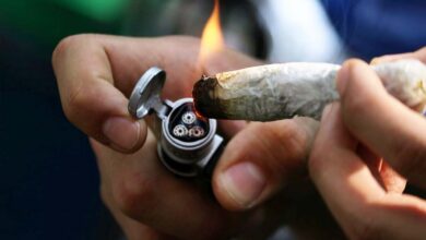 Legalizar mariguana no reduce el mercado ilegal y aumenta el consumo: ONU