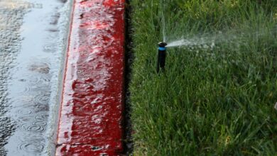 Los aspersores de precisión de Irrigreen evitan el desperdicio de agua y las piernas mojadas