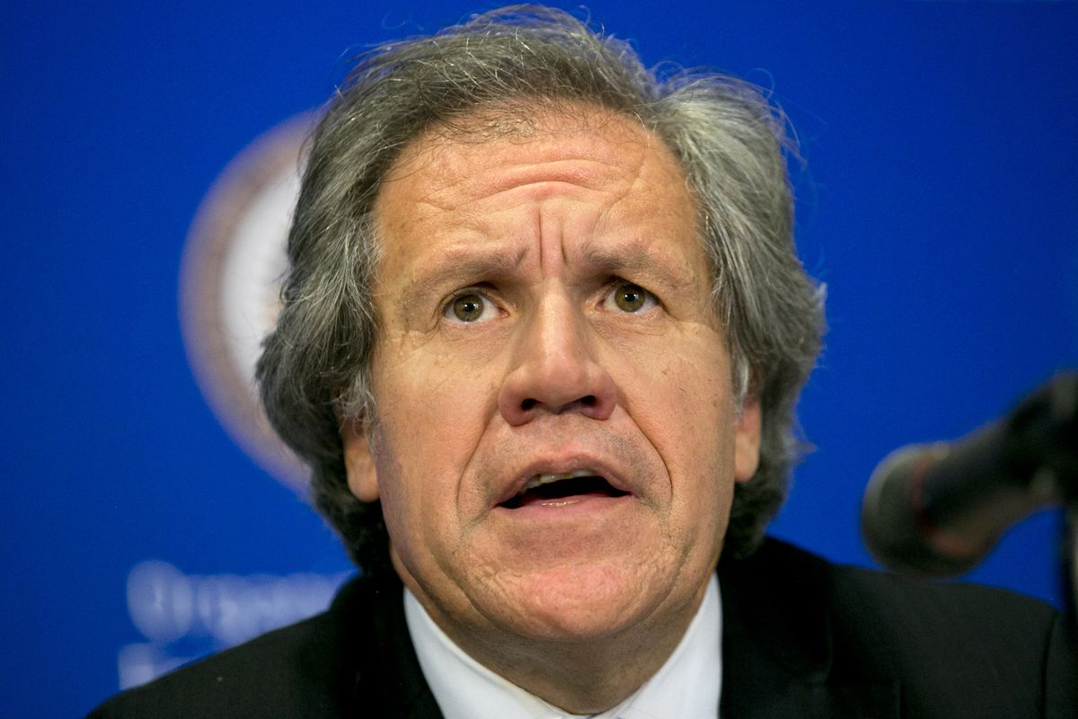 Luis Almagro, secretario general de la OEA, viajó 34 veces con la asesora con la que mantuvo una relación sentimental
