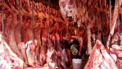México da luz verde a carne de res de Brasil para combatir la inflación