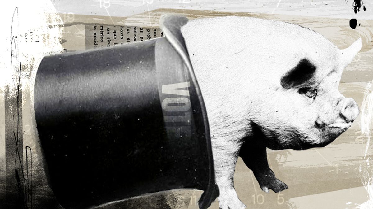 Recuerden a Orwell y a Camus