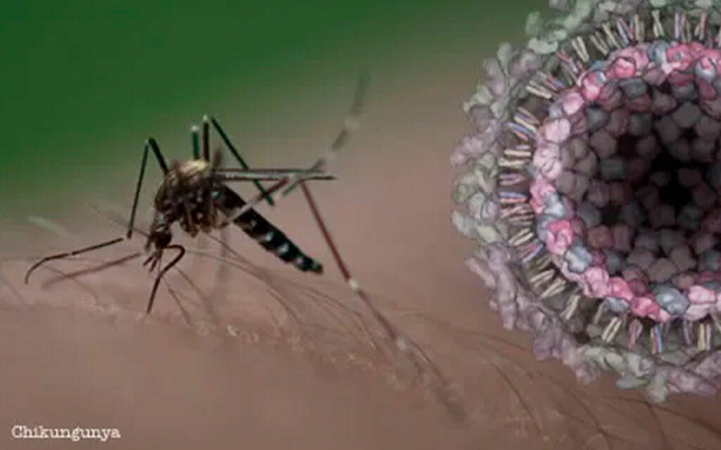 República Dominicana emite alerta por chikungunya