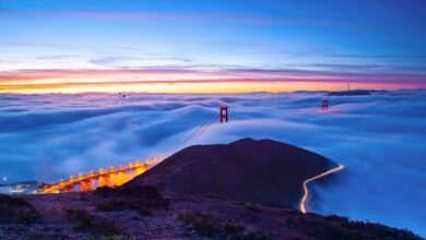 Resumen de TechCrunch+: encuesta de inversionistas en tecnología oceánica, inteligencia artificial y relaciones públicas, opciones de visa L-1