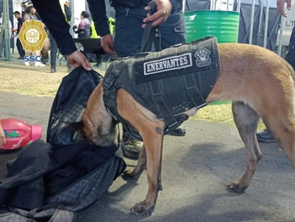 Saldo del EDC: 43 detenidos por reventa, narcomenudeo y robo de celulares