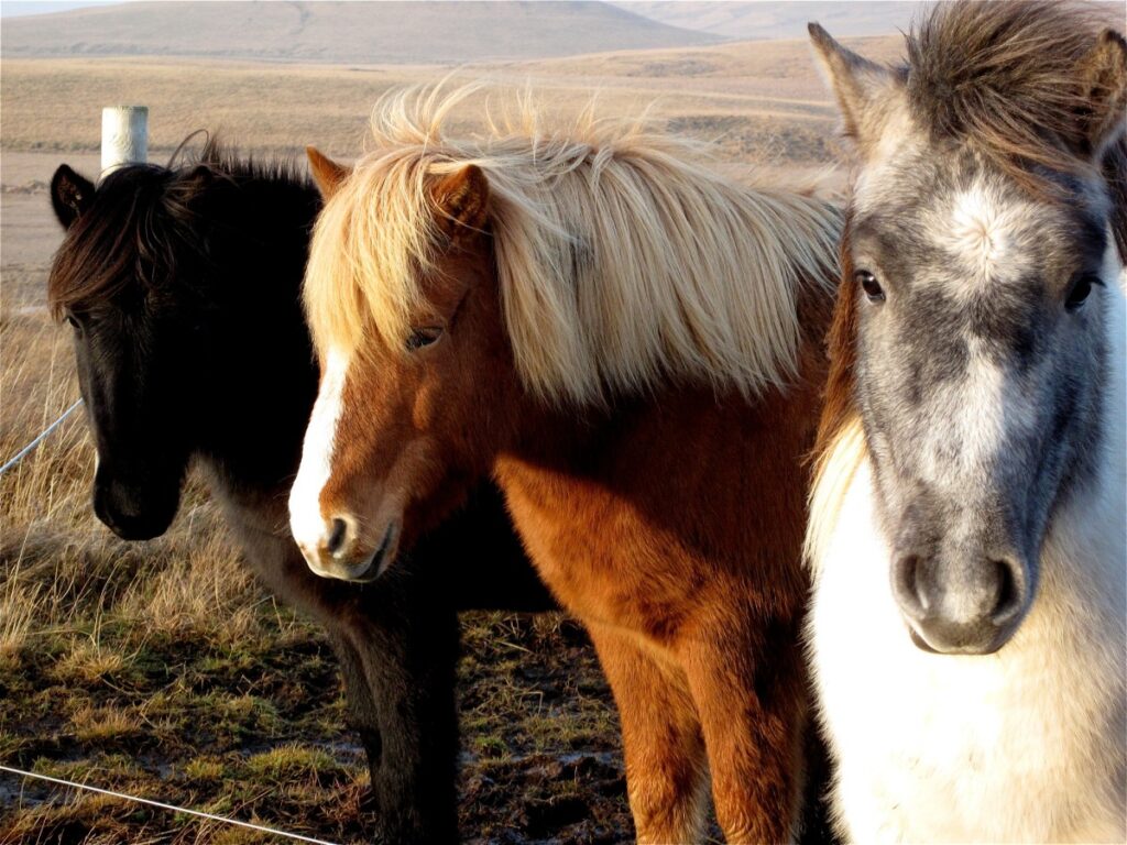 Threecolts recauda $ 90 millones para desarrollar su conjunto de herramientas para terceros que venden en mercados como Amazon