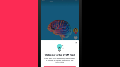 TikTok está agregando un feed dedicado para contenido STEM