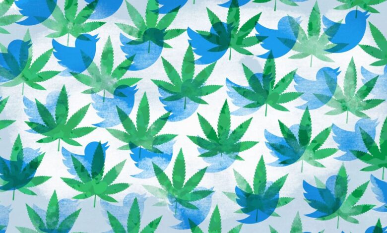 Tweet, tweet, pass: Twitter desbloquea una oportunidad de crecimiento en ciernes para las nuevas empresas de cannabis