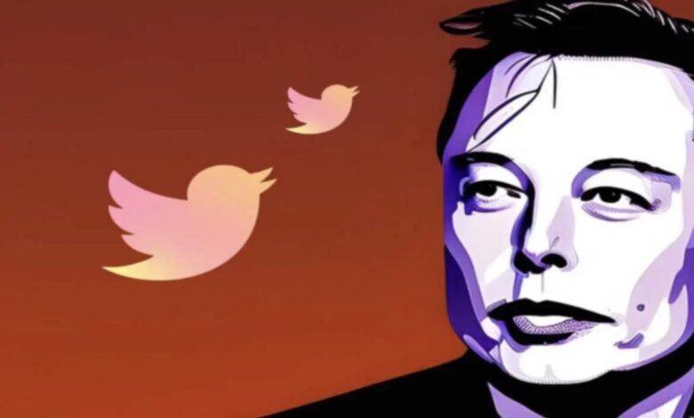 Twitter solo recomendará cuentas verificadas: Musk