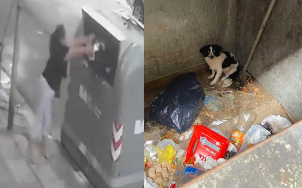 Video | Graban a mujer mientras tira a su perrita a la basura