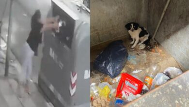 Video | Graban a mujer mientras tira a su perrita a la basura