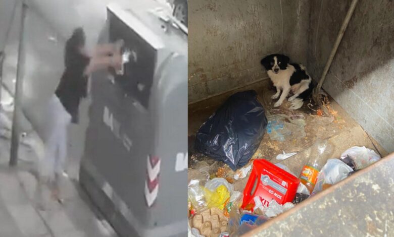 Video | Graban a mujer mientras tira a su perrita a la basura