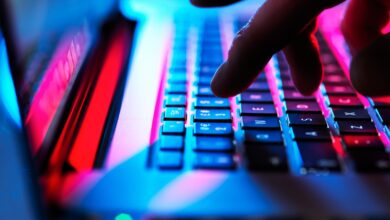 Warp lleva un bot de IA a su terminal