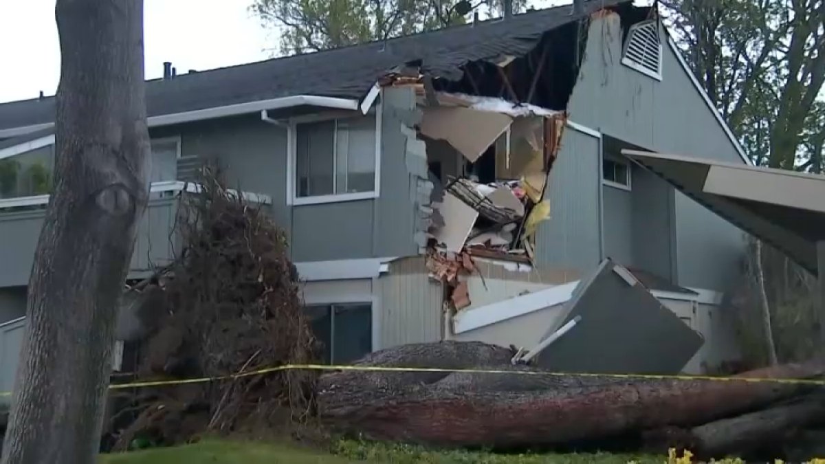 árbol cae sobre complejo de apartamentos