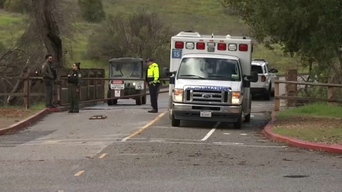 muere aplastada por un árbol durante excursión