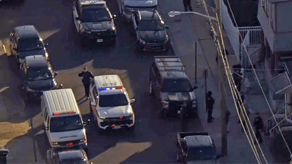 pelea de Pit Bulls deja a 3 mujeres heridas, 2 perros baleados