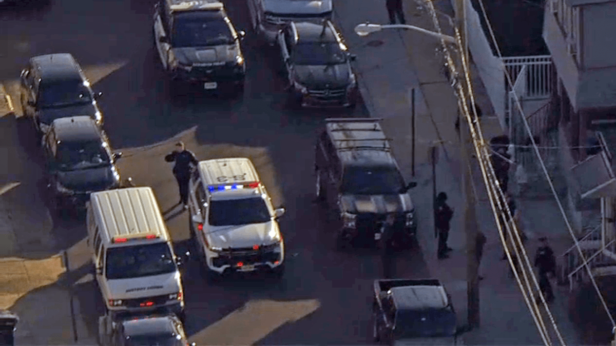 pelea de Pit Bulls deja a 3 mujeres heridas, 2 perros baleados