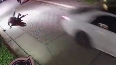 sospechoso embiste a policía de Sarasota con auto robado