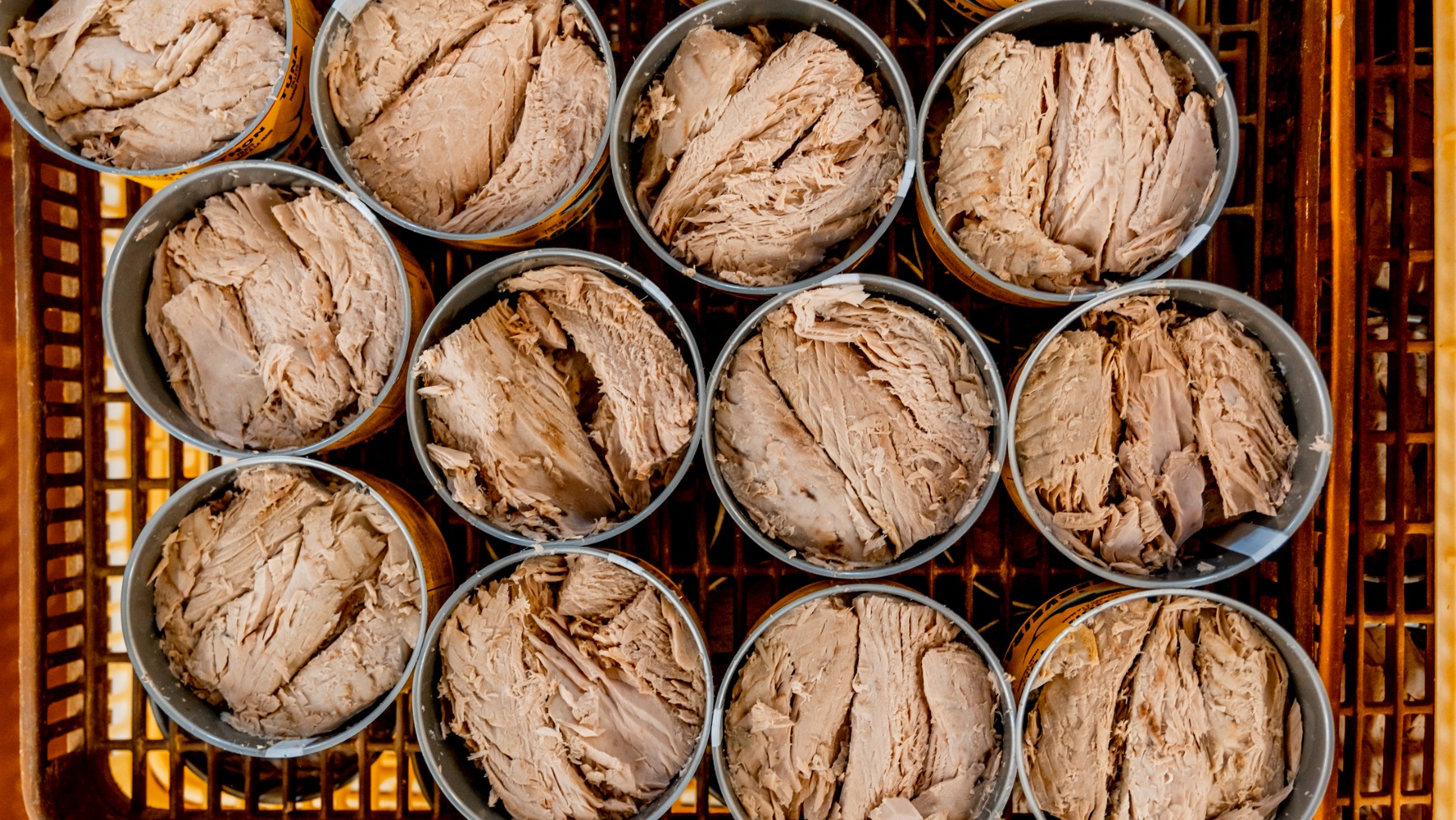 Tira la lata de atún ahora mismo si estás viendo esto