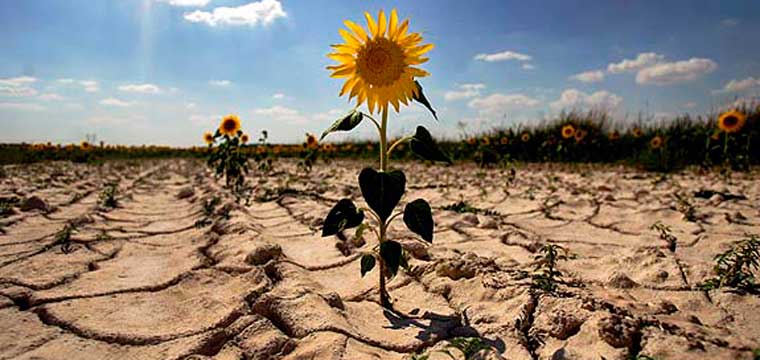 ¿Qué provoca el efecto invernadero en la Tierra?