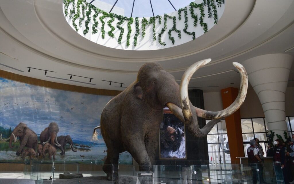 ¡Ponle nombre al mamut de Santa Lucía! Aquí te decimos cómo participar