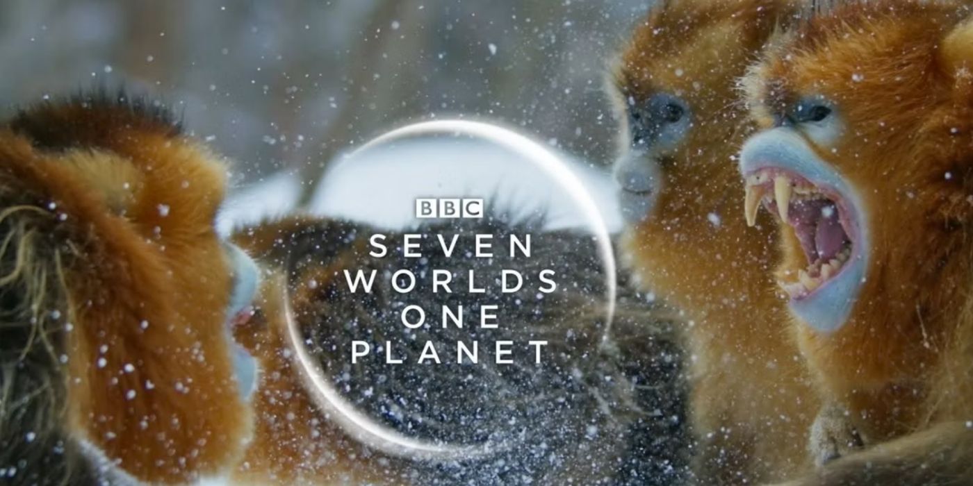 El estandarte de Seven Worlds One Planet-1