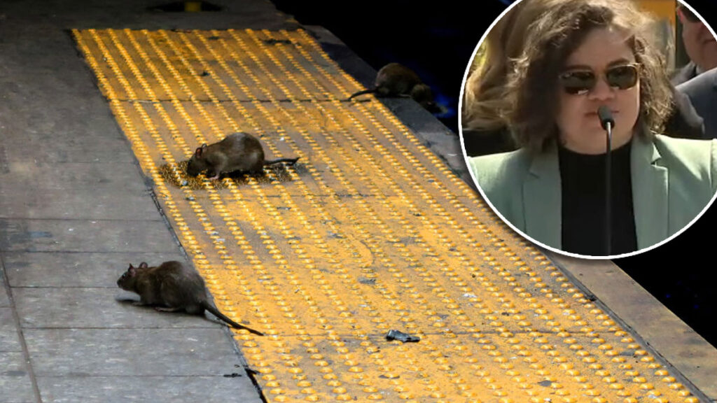 Conoce a Kathleen Corradi