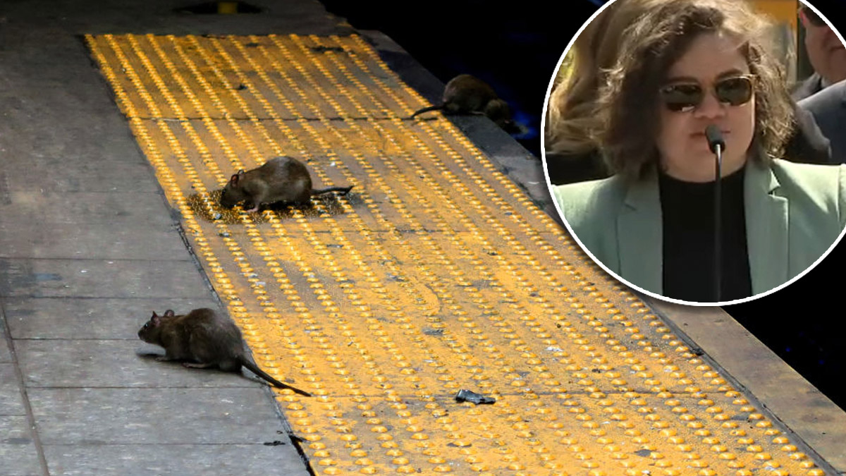 Conoce a Kathleen Corradi