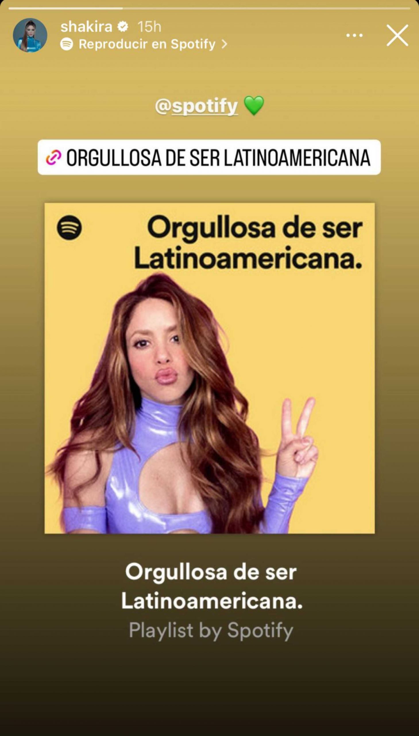 Stories de Instagram de Shakira / Instagram 