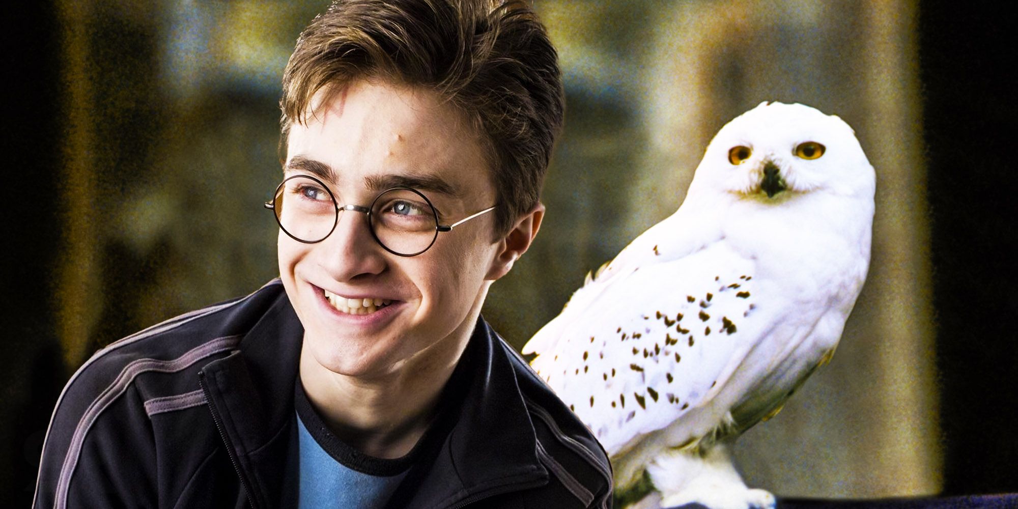 Harry potter and Hedwig