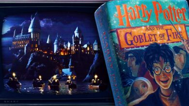 harry-potter-show-remake-book-storylines-movies-cut-include