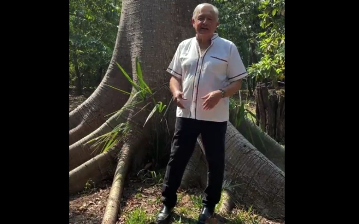 AMLO: seguirán las mañaneras ‘porque tenemos derecho a disentir’