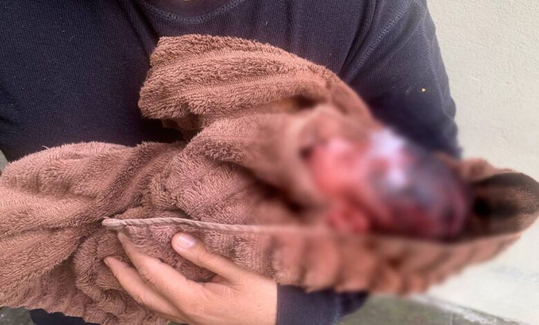 Abandonan a una recién nacida dentro de una llanta en Nuevo León