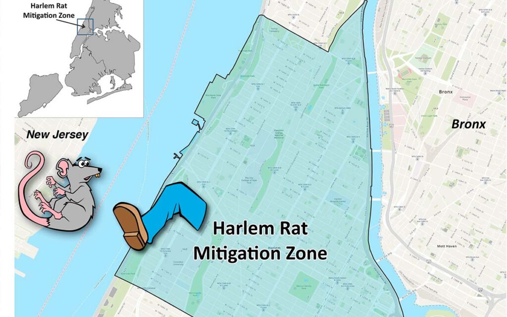 Al estilo del 'Flautista de Hamelín', designa Nueva York 'zarina' contra las ratas