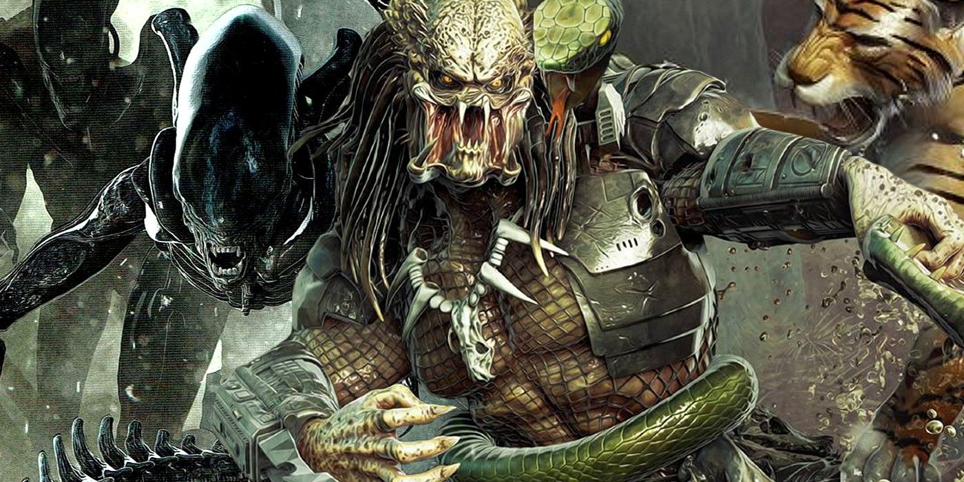 alien vs predator in jungle fight