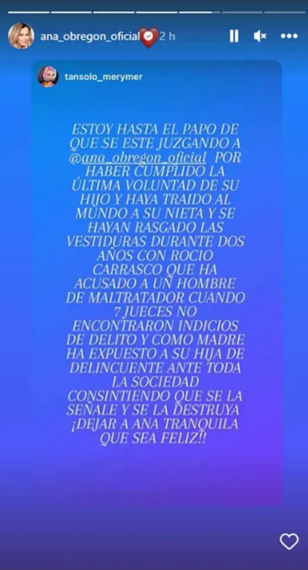 Stories de Ana Obregón/ Instagram