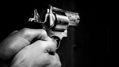 Autorizan a civiles a llevar armas ante inseguridad | Ecuador