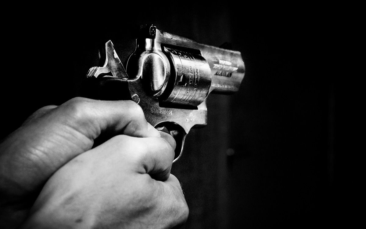 Autorizan a civiles a llevar armas ante inseguridad | Ecuador