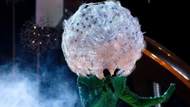 The Masked Singer Season 9's Dandelion
