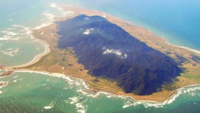 Chile: Cuatro personas mueren al estrellarse avioneta contra el mar