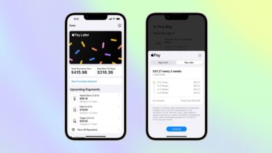 two images of the Apple Pay Later service on an iPhone's screen on a gradient background