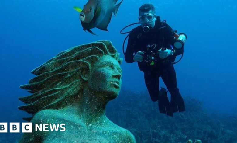 Cómo se creó el Parque de Esculturas Submarinas de Granada
