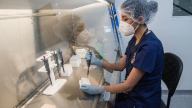 Conacyt apoya Ley de Ciencia, mientras investigadores la reprueban