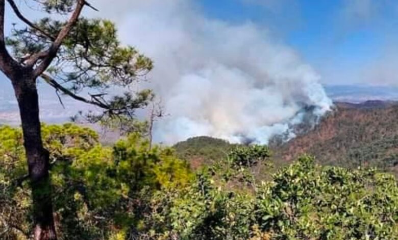 Continúa fuera de control incendio en Mazaltepec, Oaxaca; comuneros piden ayuda